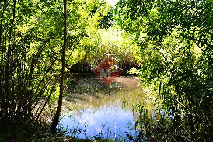 Tu Mieszkania Domy - 2