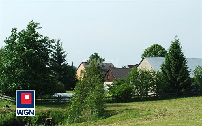 Tu Mieszkania Domy - 2