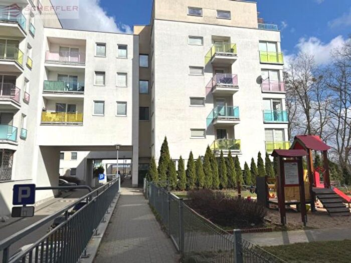 Mieszkanie 4-pokojowe do wynajęcia, Poznań – Serbska