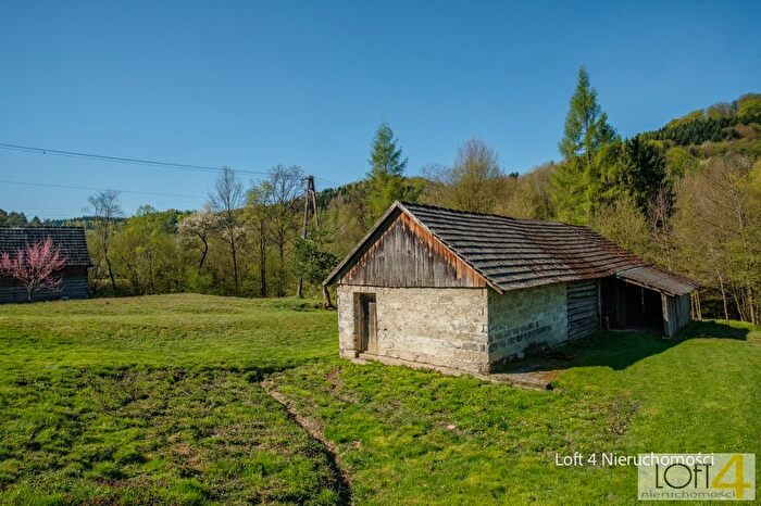 Tu Mieszkania Domy - 3