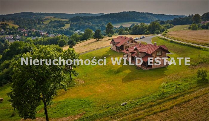 Dom 16-pokojowy na sprzedaż, Solina