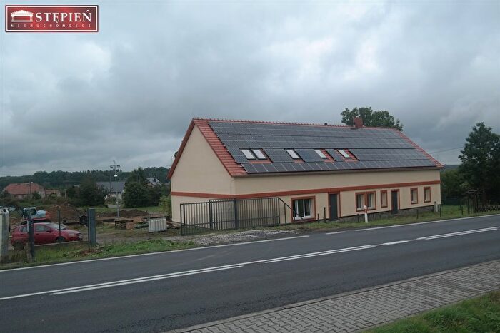 Dom do wynajęcia, Wilczy Las