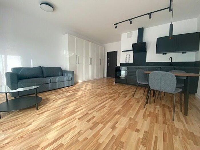 Mieszkanie 1-pokojowe do wynajęcia, Poznań