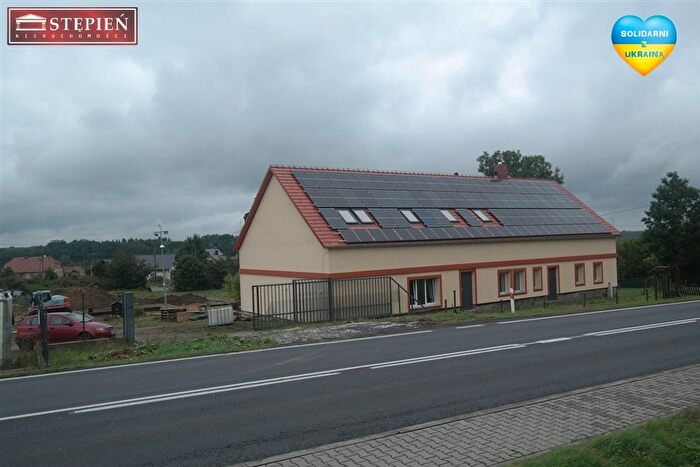 Dom na sprzedaż, Wilczy Las