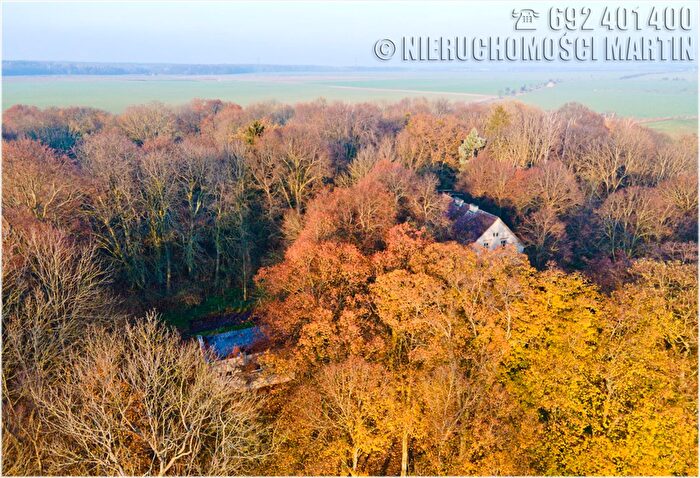 Tu Mieszkania Domy - 3