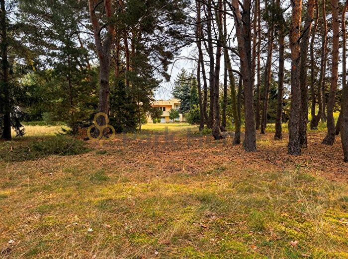 Dom 5-pokojowy na sprzedaż, Radzewice