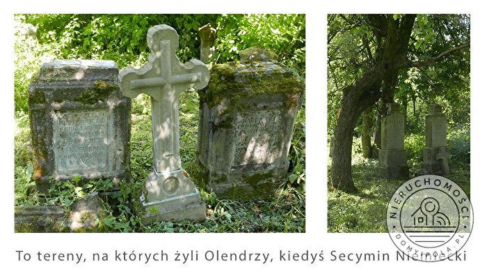 Tu Mieszkania Domy - 3