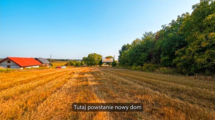Tu Mieszkania Domy - 3