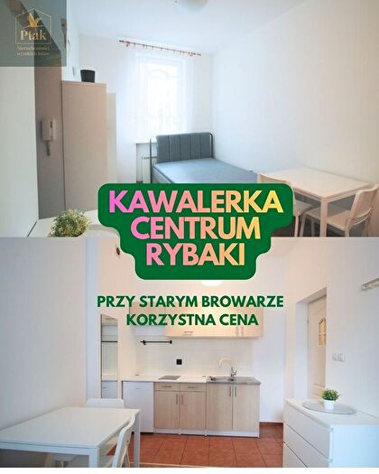 Mieszkanie 1-pokojowe do wynajęcia, Poznań – Rybaki
