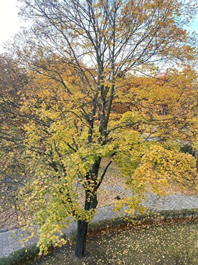 Mieszkanie 3-pokojowe na sprzedaż, Warszawa – Toruńska