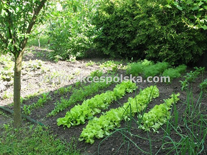 Dom 6-pokojowy na sprzedaż, Parczew