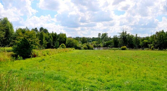 Dom 5-pokojowy na sprzedaż, Gruszczyn – Katarzyńska