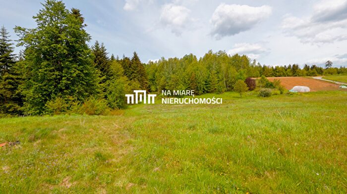 Tu Mieszkania Domy - 3