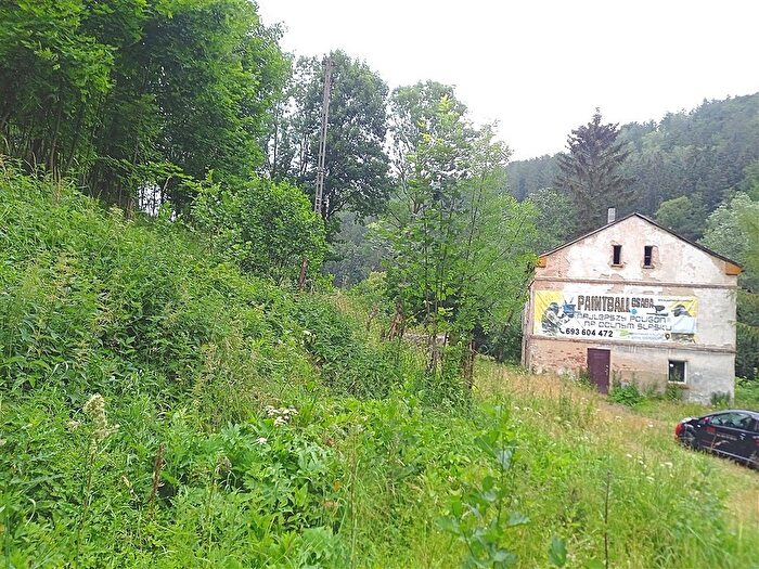 Dom 6-pokojowy na sprzedaż, Walim