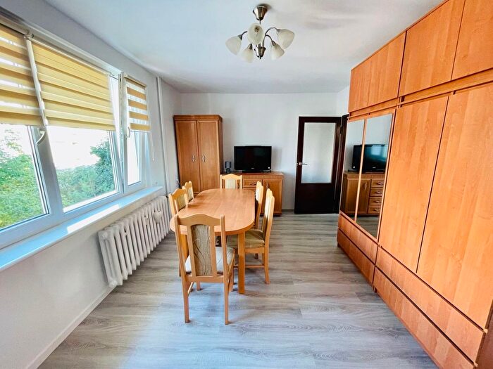 Mieszkanie 1-pokojowe do wynajęcia, Poznań – Osinowa
