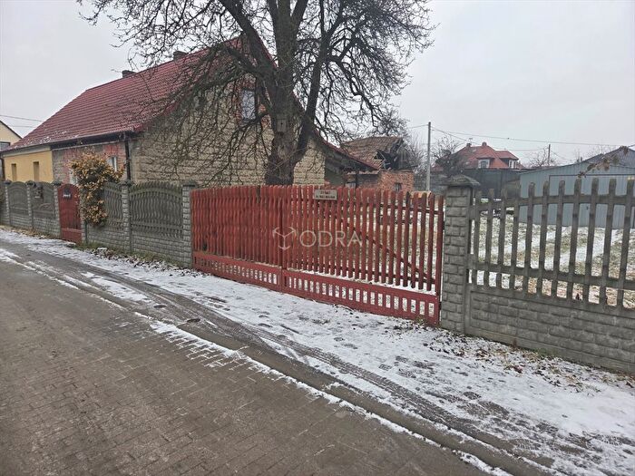 Tu Mieszkania Domy - 3