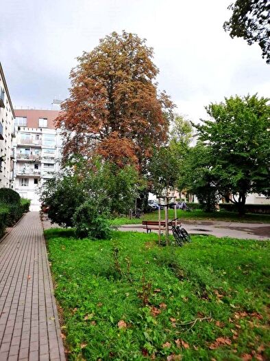 Mieszkanie 1-pokojowe na sprzedaż, Warszawa – Fryderyka Joliot-Curie