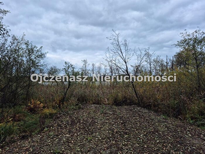 Tu Mieszkania Domy - 2
