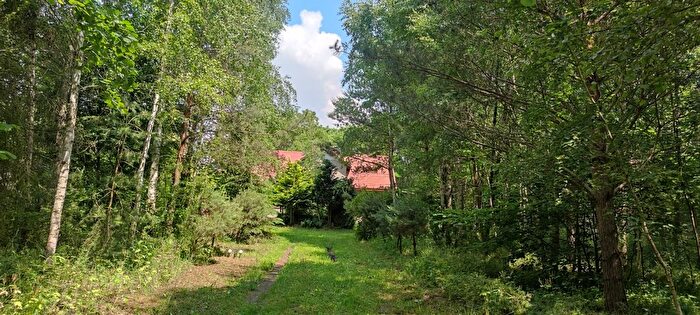 Dom 5-pokojowy na sprzedaż, Ciućkowo
