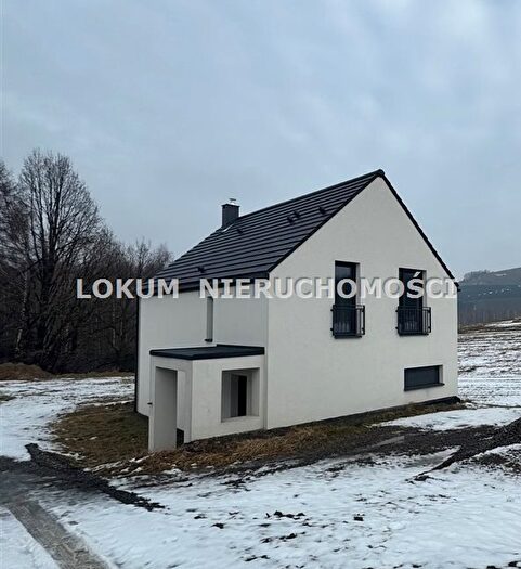 Dom 4-pokojowy na sprzedaż, Gogołowa