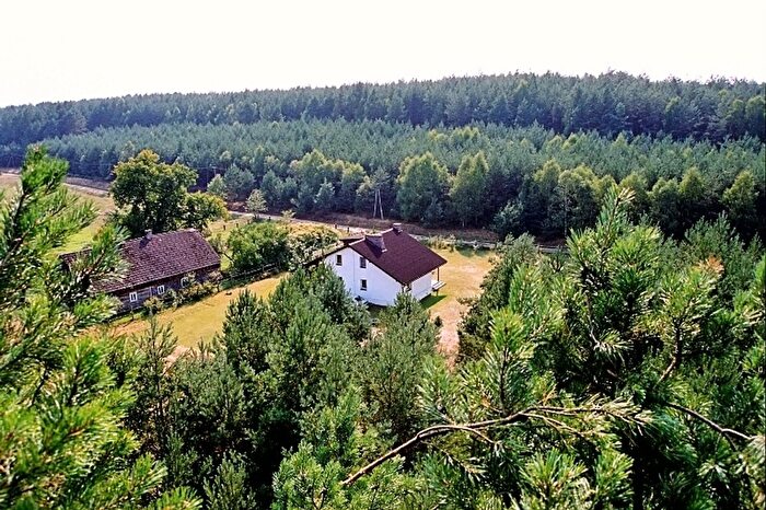 Dom 4-pokojowy na sprzedaż, Pąchy