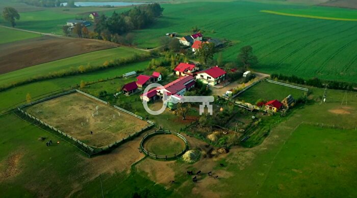Dom 10-pokojowy na sprzedaż, Bochlin