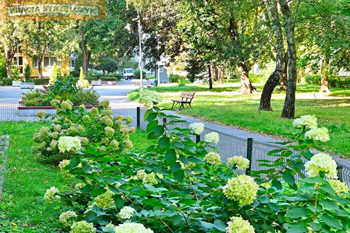 Mieszkanie 2-pokojowe na sprzedaż, Warszawa – Afrykańska