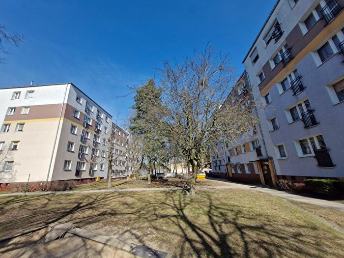 Mieszkanie 1-pokojowe na sprzedaż, Poznań – Pogodna