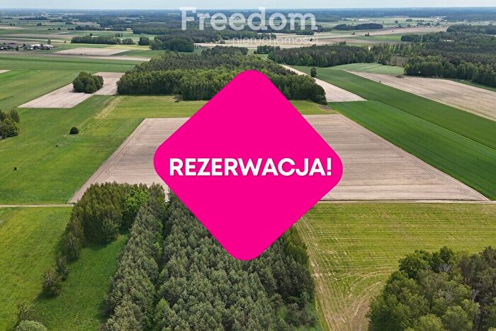 Tu Mieszkania Domy - 3