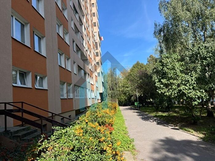 Mieszkanie 3-pokojowe do wynajęcia, Warszawa – Gwiaździsta
