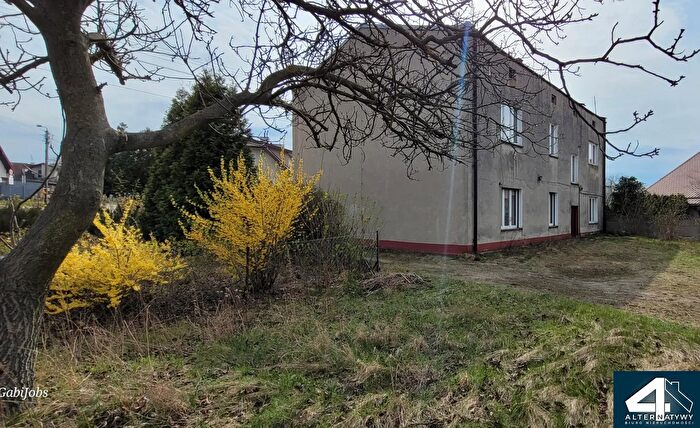 Dom na sprzedaż, Ozorków