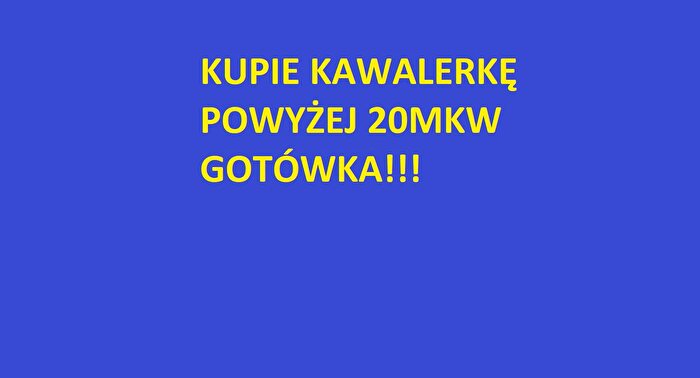 Mieszkanie 1-pokojowe na sprzedaż, Kraków