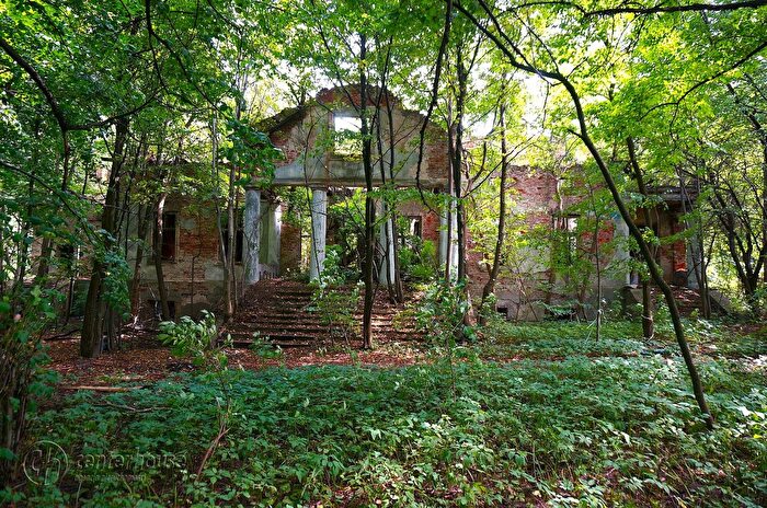 Dom na sprzedaż, tarnobrzeski