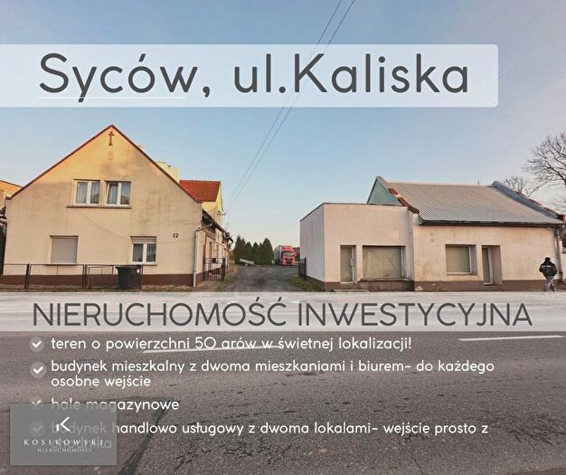 Dom 8-pokojowy na sprzedaż, Syców