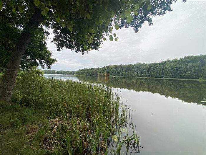 Dom 4-pokojowy do wynajęcia, Lewinko