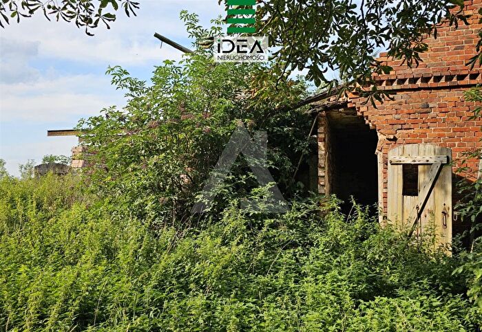 Tu Mieszkania Domy - 2