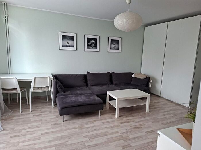 Mieszkanie 1-pokojowe do wynajęcia, Poznań