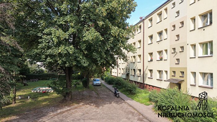 Tu Mieszkania Domy - 2
