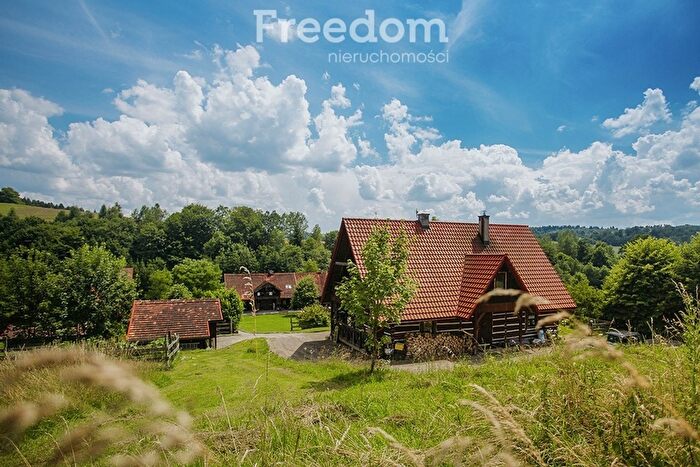 Dom na sprzedaż, Orelec