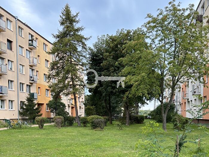 Mieszkanie 1-pokojowe do wynajęcia, Gdańsk – Orłowska