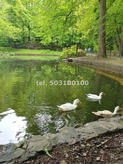 Mieszkanie 1-pokojowe na sprzedaż, Krynica-Zdrój