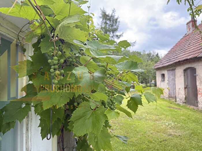 Dom 7-pokojowy na sprzedaż, Olbrachtów