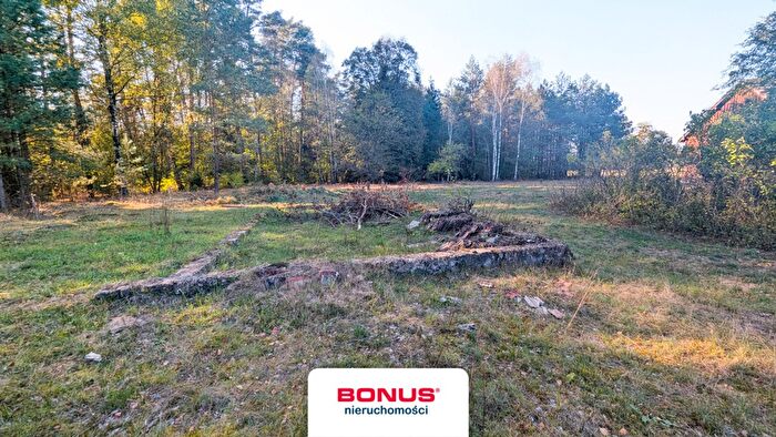 Tu Mieszkania Domy - 2