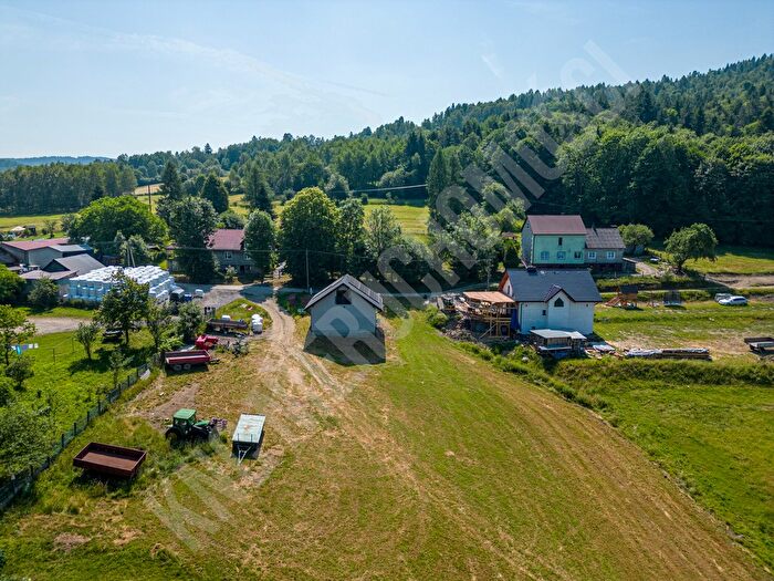 Tu Mieszkania Domy - 2