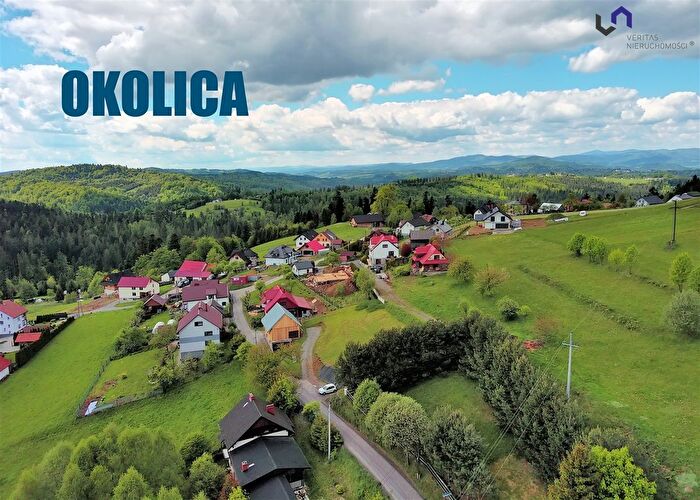 Tu Mieszkania Domy - 2