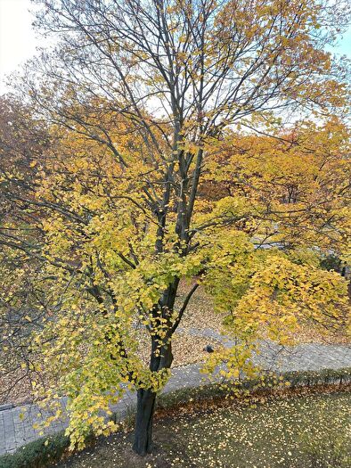 Mieszkanie 3-pokojowe na sprzedaż, Warszawa – Toruńska
