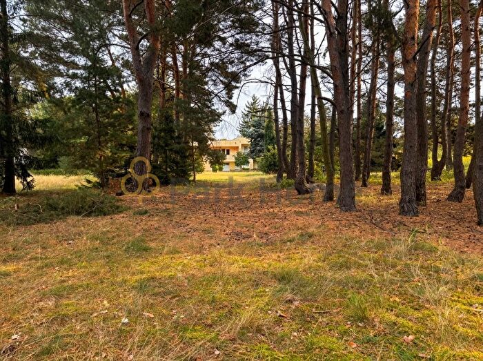 Dom 5-pokojowy na sprzedaż, Radzewice