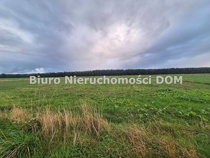 Tu Mieszkania Domy - 2