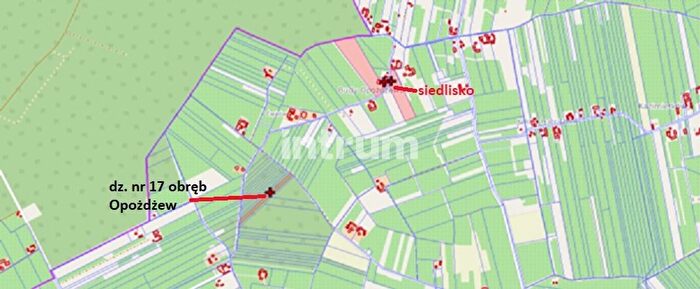 Tu Mieszkania Domy - 2